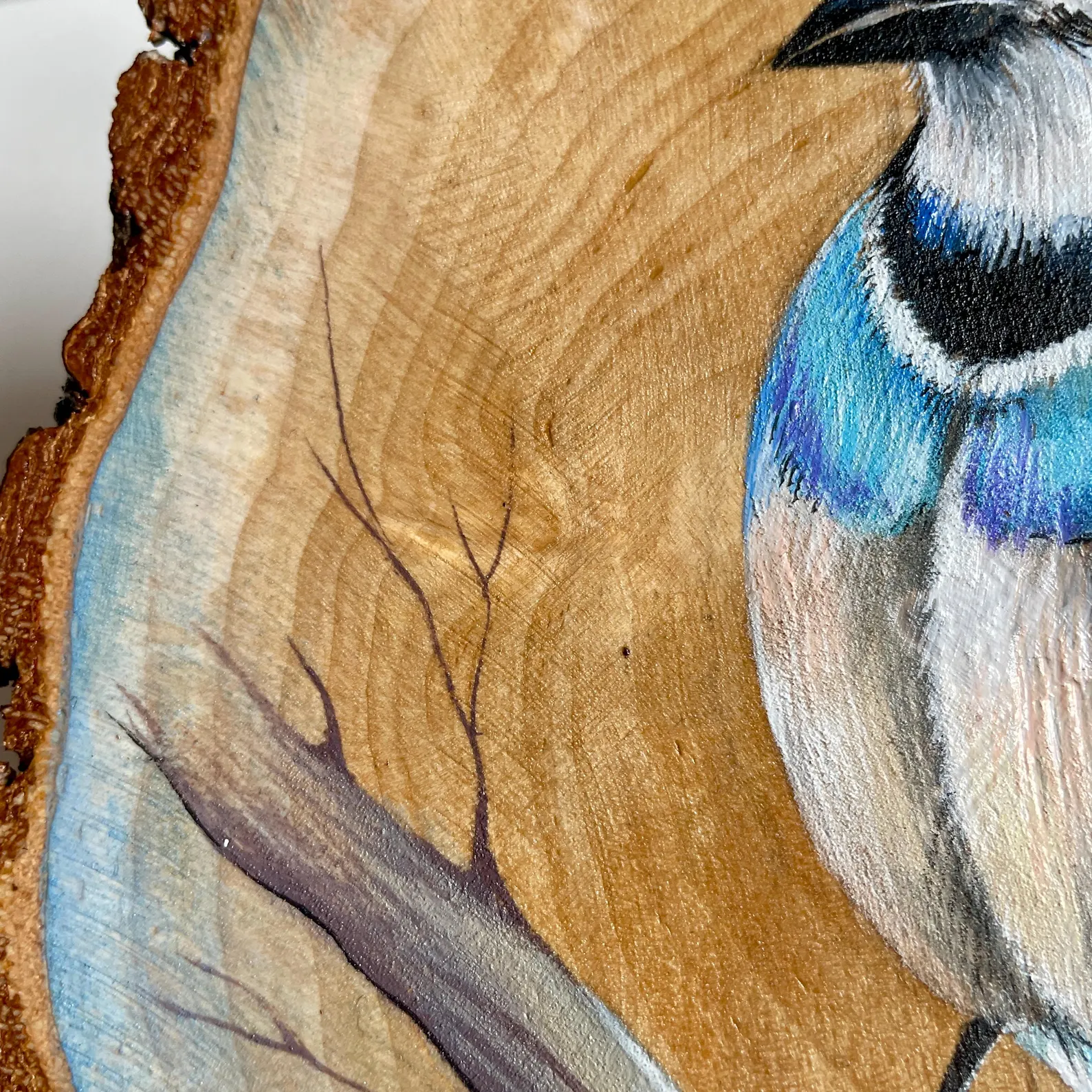 Original Hand-Painted Blue Bird on Natural Wood Slice – Wildlife Art on Real Wood by Arjun Handicrafts