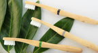 🌿 Bamboo Toothbrush – Set of 2 Soft Castor Oil Bristles | Eco-Friendly Wooden Handle