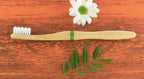 🌿 Bamboo Toothbrush – Set of 2 Soft Castor Oil Bristles | Eco-Friendly Wooden Handle