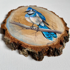 Original Hand-Painted Blue Bird on Natural Wood Slice – Wildlife Art on Real Wood by Arjun Handicrafts