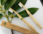 🌿 Bamboo Toothbrush – Set of 2 Soft Castor Oil Bristles | Eco-Friendly Wooden Handle